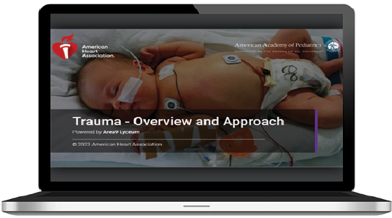 CPR First Aid eLearning CPR First Aid eLearning